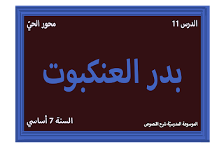 شرح نصّ بدر العنكبوت، 7 أساسي، محور الحيّ