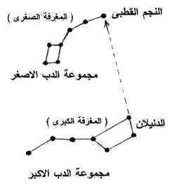 الدبّ الأكبر والدبّ الأصغر والنجم القطبي - الموسوعة المدرسية