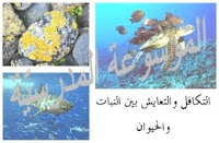 الموسوعة المدرسية - التكافل والتعايش بين النبات والحيوان